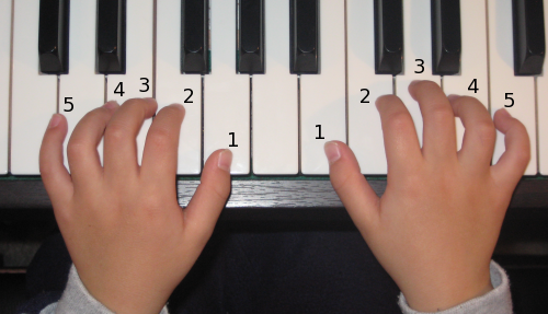 Các bước luyện ngón trên đàn piano đơn giản (1)