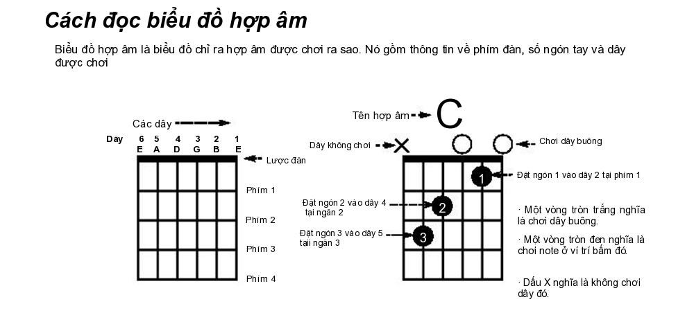 hopamguitarcoban1000x452  Trung tâm âm nhạc Phanxico hop am guitar co ban 1000x452