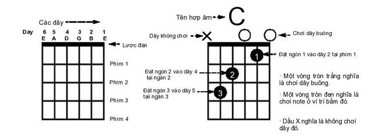 cac-hop-am-co-ban-trong-guitar