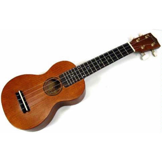 Học chơi đàn guitar ukulele có khó không?