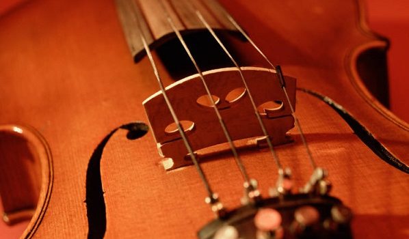 Đặt ngựa đàn làm sao cho đúng? Đặt ngựa đàn làm sao cho đúng?