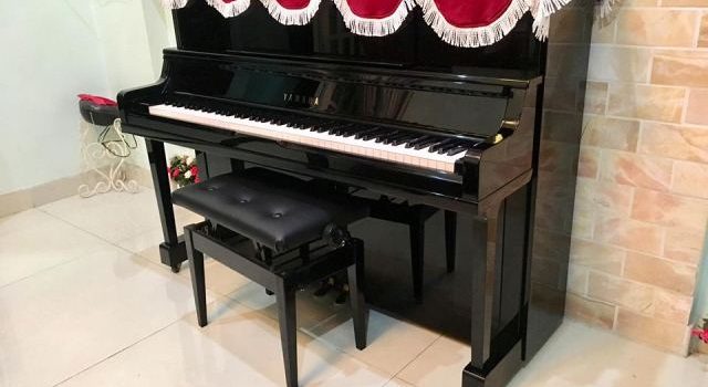 PHANXICO chuyên đào tạo âm nhạc và cung cấp các loại nhạc cụ. PHANXICO chuyên đào tạo âm nhạc và cung cấp các loại nhạc cụ.